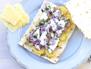 2955-surstrommingsklamma_500x380