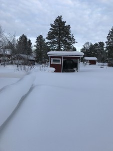 2q01PF2+Rw6L56A99SZbqQ